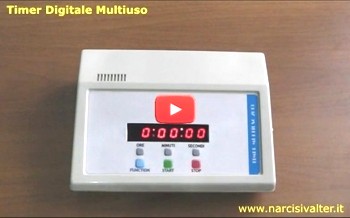 Timer Programmabile MCU